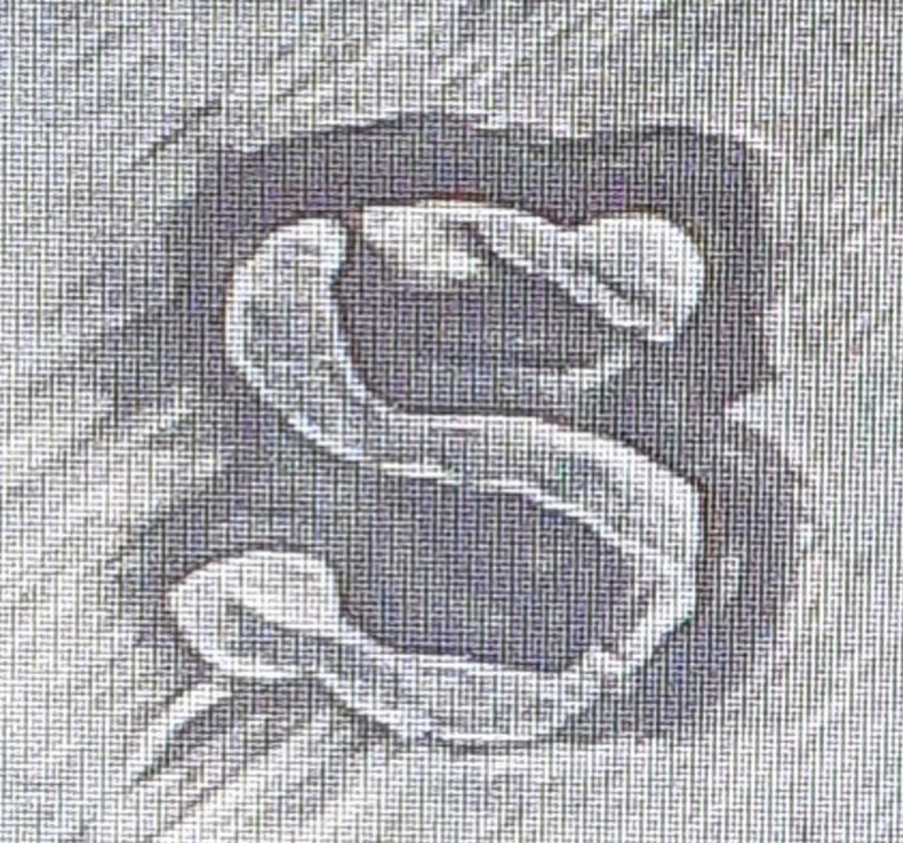 1922-S-USA-RPM-Peace-Dollar-Coin,